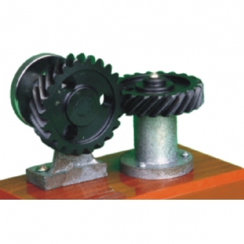 90 ° Staggered Screw Gear